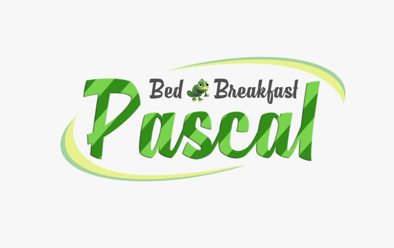 B&B Pascal Cagliari Extérieur photo